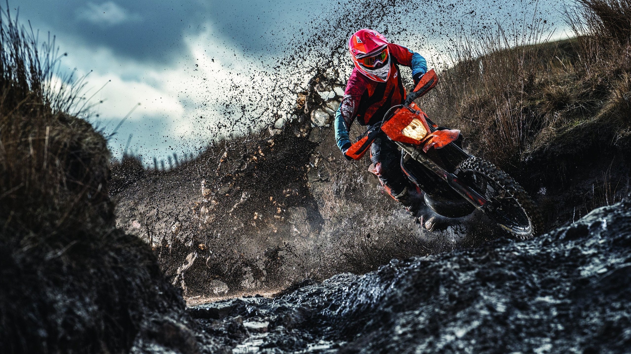 灰熊对阵广厦队，浓眉压制级发挥改写比赛格局